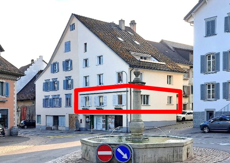 Preiswerte 2½ Zimmer Eigentumswohnung im Weinbauort Hallau (2)