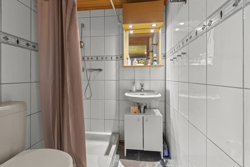 Mehrgenerationenhaus - perfekt für eine grosse Familie (14)