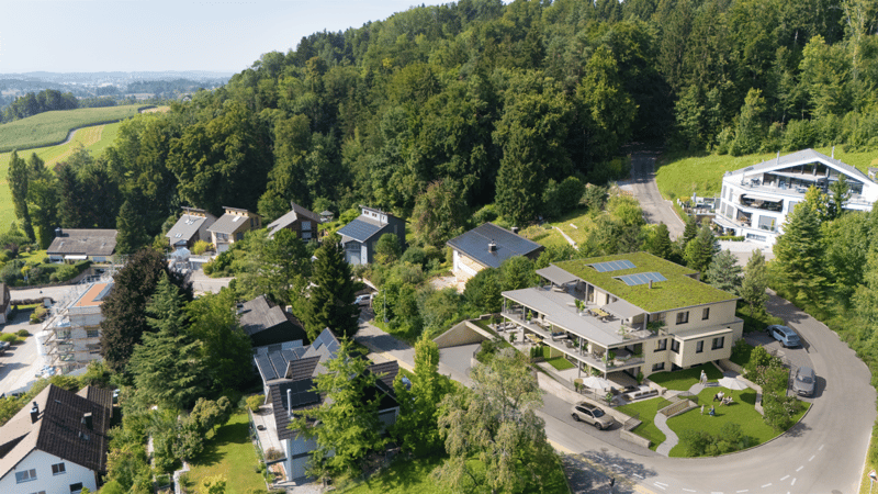 Houses in a hillside neighborhood, surrounded by trees, solar panels on roofs, driveways, cars parked
