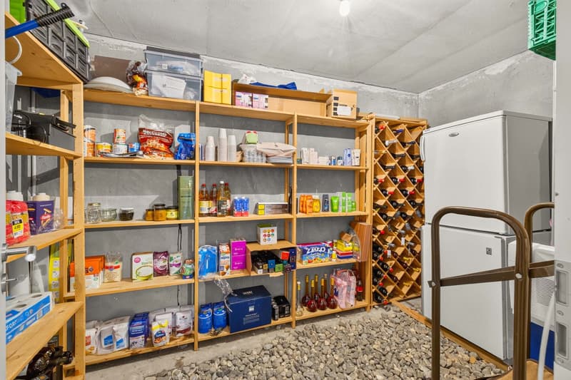 Traumhaftes 6.5-Zimmer-Einfamilienhaus mit Einliegerwohnung an privilegierter Flusslage (16)