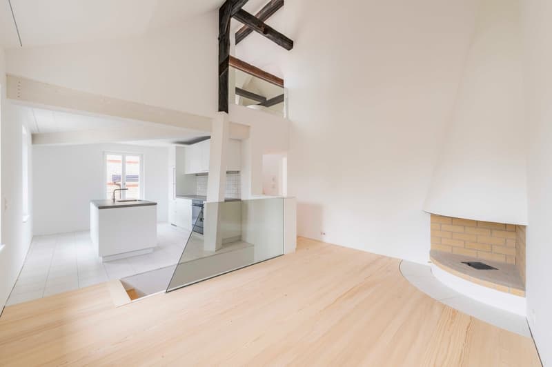 Designerwohnung - Moderne trifft auf Tradition (1)