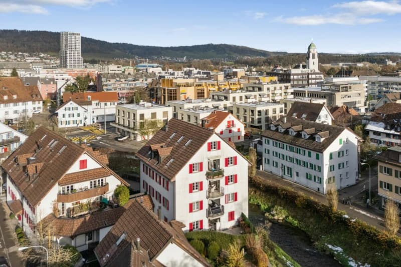 8953 Dietikon