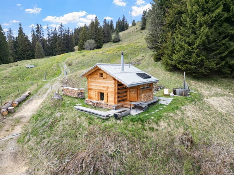 Exklusives Maiensäss mit traumhafter Aussicht (10)