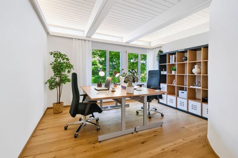 Exklusives 6½-Zimmer-Einfamilienhaus inklusive Einliegerwohnung (6)