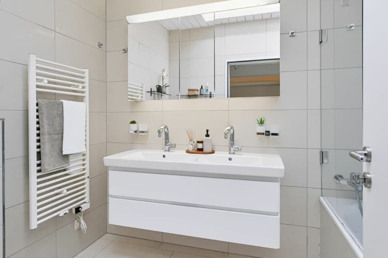 Exklusives 6½-Zimmer-Einfamilienhaus inklusive Einliegerwohnung (5)