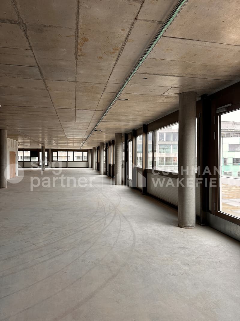 SPARK - Locaux industriels et artisanaux avec terrasse et vue à 180 (3)