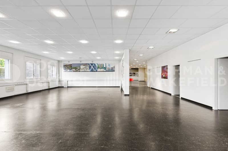 Locaux d'activité avec fibre, livraison et parkings à Meyrin - Grand-Puits 42 (3)