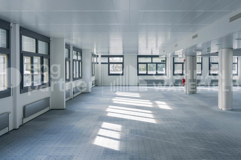 Locaux administratifs et artisanaux lumineux au c?ur de la ZIMEYSA - Veyrot 11 (7)