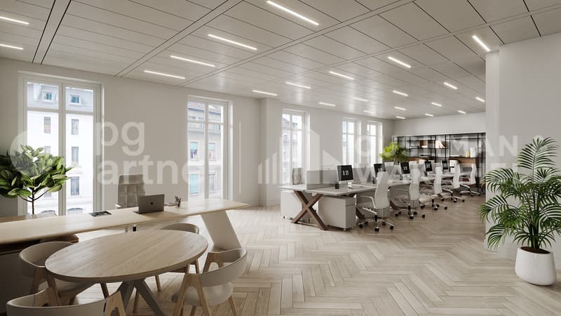 Bureaux lumineux au centre de Genève à proximité de Rive - Italie 8-10 (4)