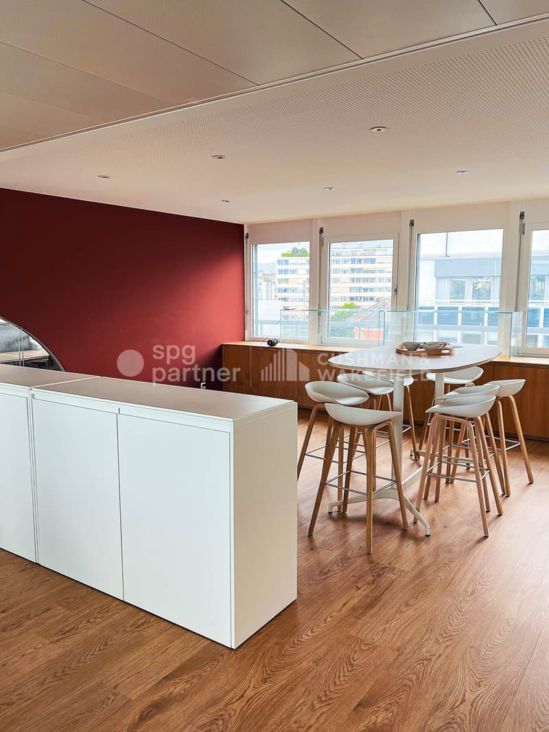Bureaux lumineux de 190 m² avec terrasse et vue sur le lac, Lausanne 82 (3)