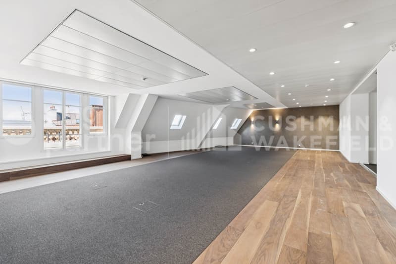 Bureaux premium avec terrasse et vue sur le lac - Passage des Lions 6 (8)