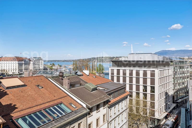 Bureaux premium avec terrasse et vue sur le lac - Passage des Lions 6 (12)