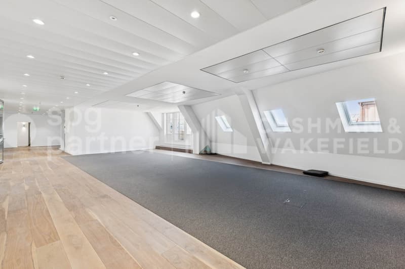 Bureaux premium avec terrasse et vue sur le lac - Passage des Lions 6 (3)