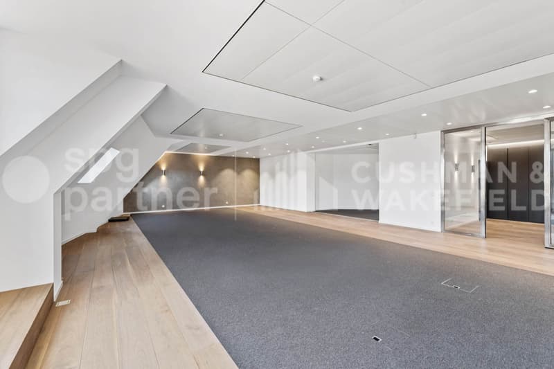 Bureaux premium avec terrasse et vue sur le lac - Passage des Lions 6 (11)
