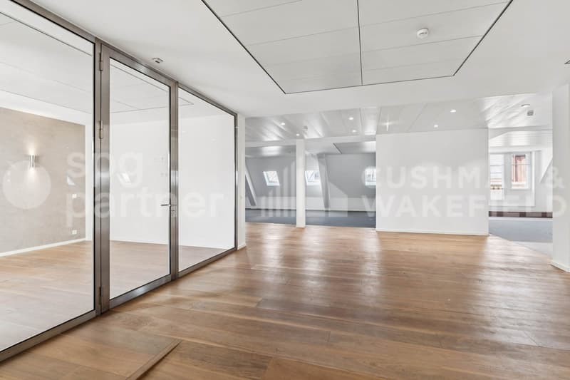 Bureaux premium avec terrasse et vue sur le lac - Passage des Lions 6 (7)