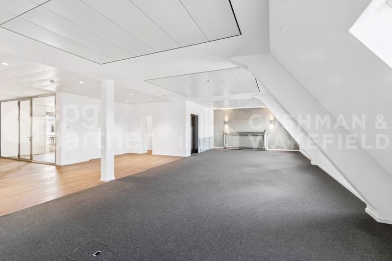 Bureaux premium avec terrasse et vue sur le lac - Passage des Lions 6 (10)