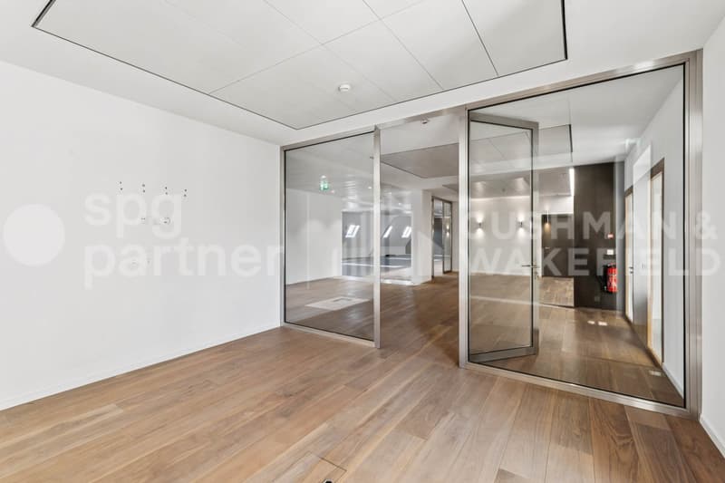 Bureaux premium avec terrasse et vue sur le lac - Passage des Lions 6 (4)