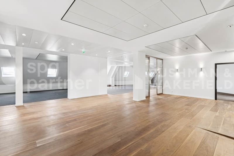 Bureaux premium avec terrasse et vue sur le lac - Passage des Lions 6 (9)