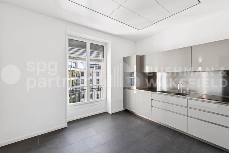 Bureaux premium avec terrasse et vue sur le lac - Passage des Lions 6 (5)