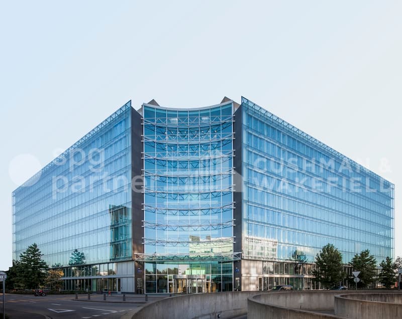 BIRD (2)