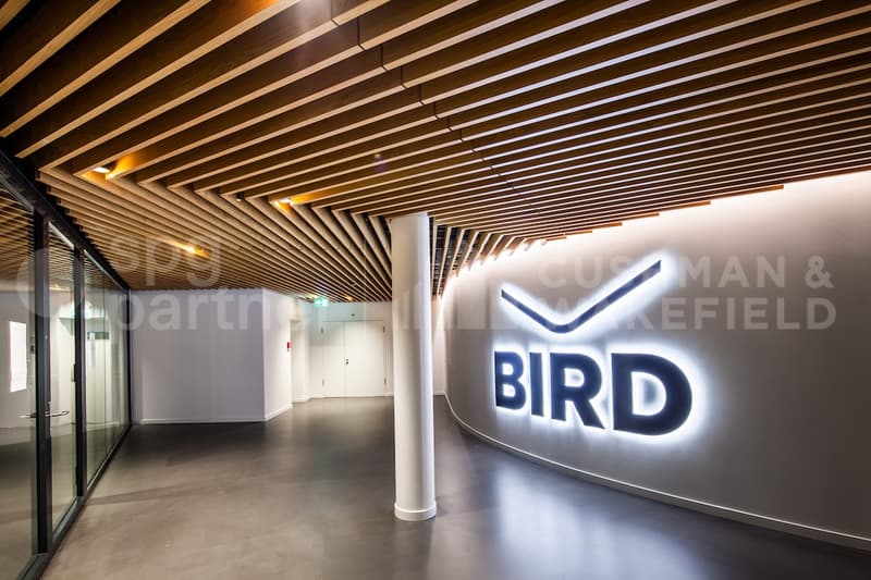 BIRD (7)