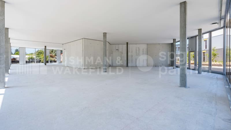 Quarz'Executive - Bâtiment artisanal, industriel et bureaux - 3?500 m² à Vernier (13)