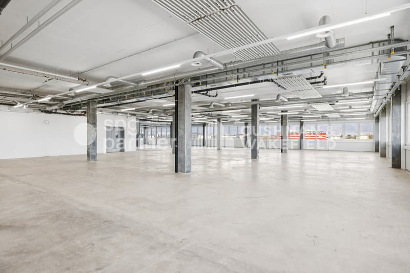 Métiers Vernier - Locaux industriels et ateliers modulables dès 330 m² (12)