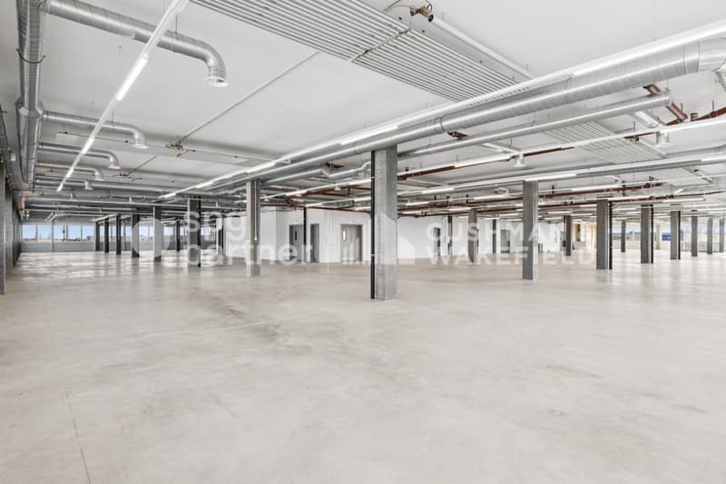 Métiers Vernier - Locaux industriels et ateliers modulables dès 330 m² (9)