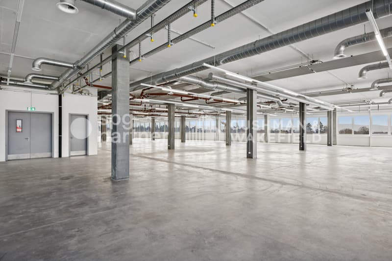 Métiers Vernier - Locaux industriels et ateliers modulables dès 330 m² (7)