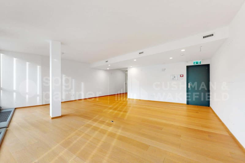 Rive 10 - Bureaux lumineux en étage élevé Rue de Rive (4)