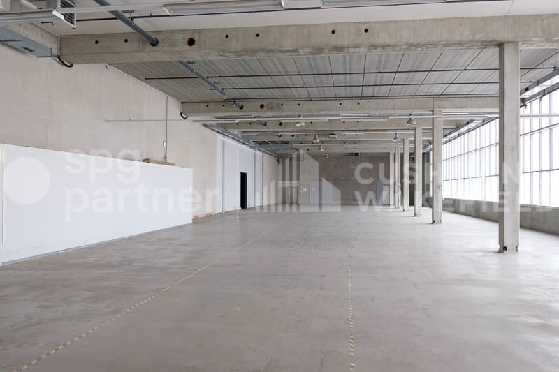 Surface logistique de 5300 m² Meyrin (ZIMEYSA) - EK9 (8)
