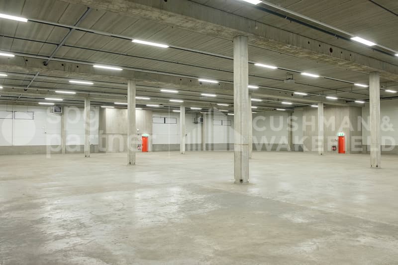 Surface logistique de 5300 m² Meyrin (ZIMEYSA) - EK9 (7)