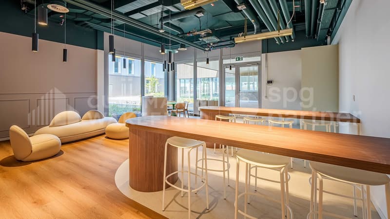 Quarz'Innov - Bâtiment industriel, technologique et artisanal à louer - 10'600 m² divisibles (11)