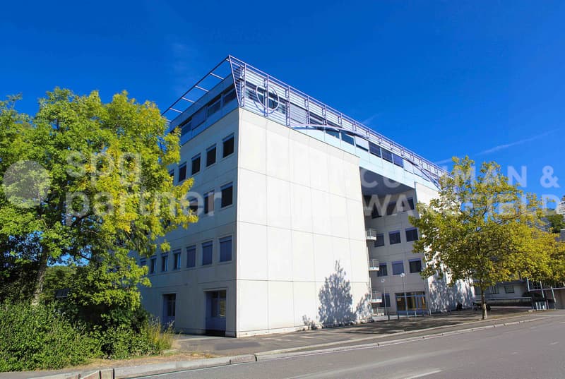 Bureaux lumineux et locaux artisanaux proches A1 et aéroport - Grand-Puits 42 (2)