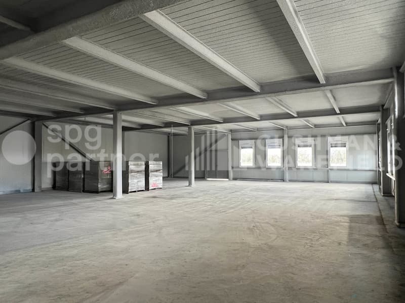 Atelier / dépôt en rez-de-chaussée de 300 m² en zone industrielle de Satigny (6)