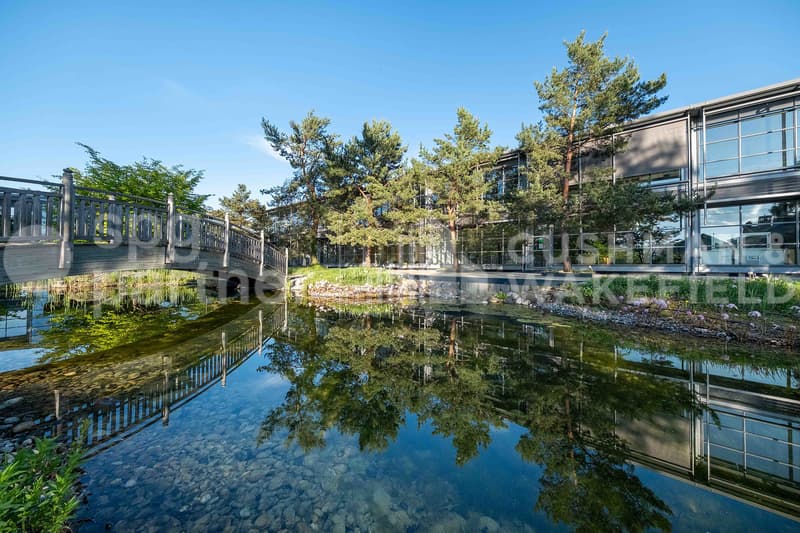 Bureaux aménagés de 600 m² à louer à Collonge-Bellerive - Onyx Business Park (9)