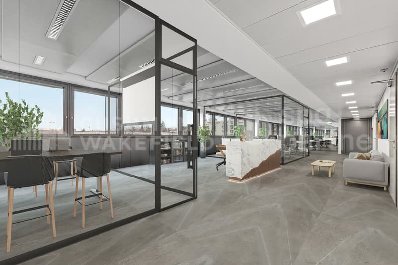 Surface administrative de 540 m² avec vue spectaculaire sur le Léman - Nation Business Center (5)