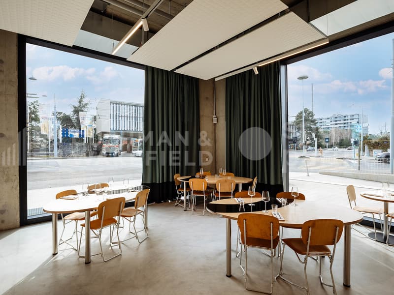 Restaurant de 336 m² avec deux terrasses et dépôt à Charmilles, Genève (3)
