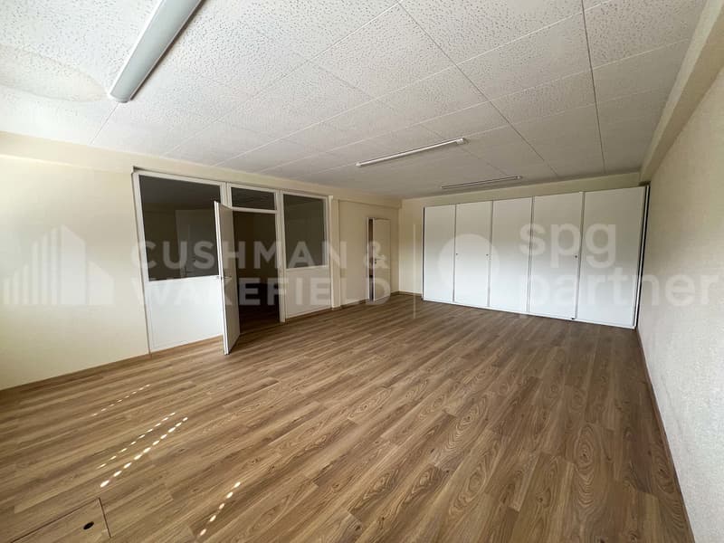 Surface mixte avec porte sectionnelle - 940 m² | SATIGNY?ZIMEYSA (9)