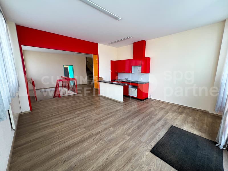 Surface mixte avec porte sectionnelle - 940 m² | SATIGNY?ZIMEYSA (11)