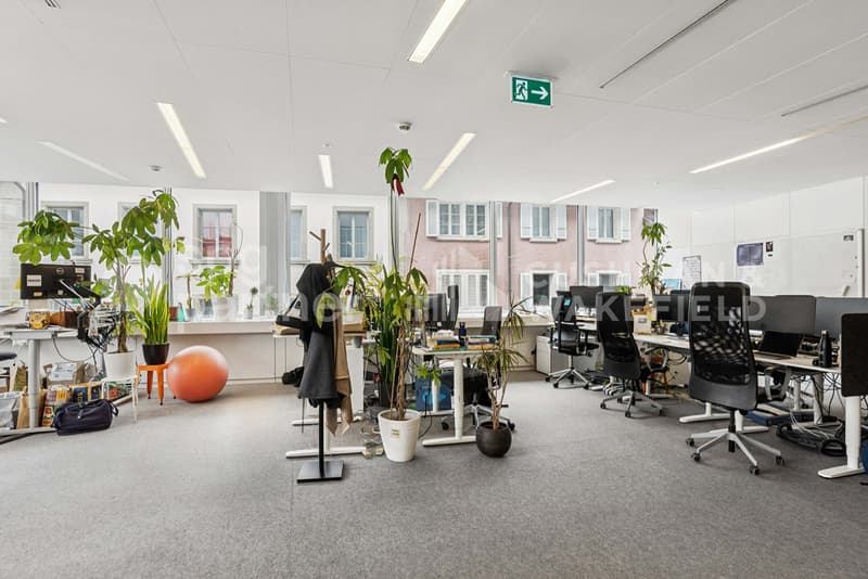 Surface administrative moderne et fonctionnelle - Rue Neuve 3 (5)