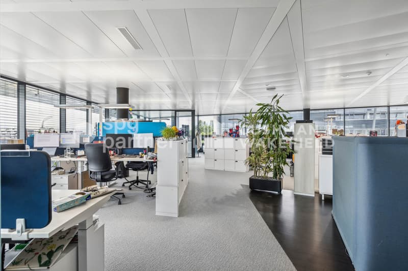 Bureaux Plug & Play dans un immeuble de standing à Terre Bonne Nyon - Crassier 3 (3)