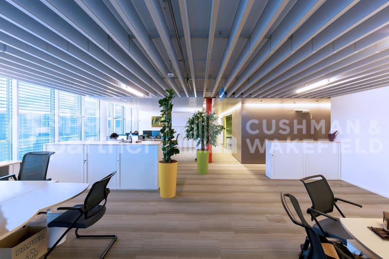 A-One Business Center Bureaux Plug & Play avec vue sur le Lac (3)