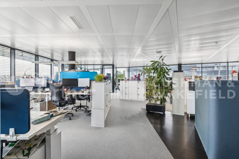 Bureaux Plug & Play dans un immeuble de standing à Terre Bonne Nyon - Crassier 3 (11)