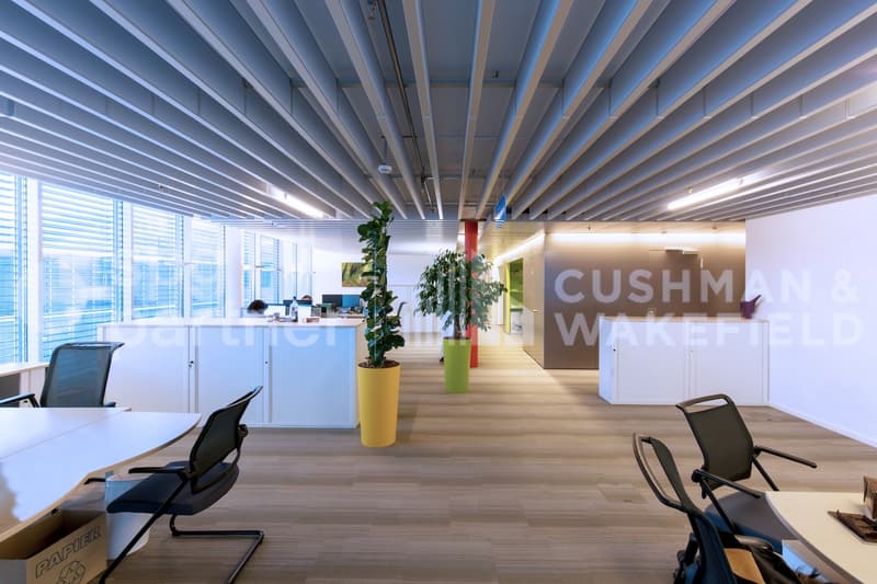 A-One Business Center Bureaux Plug & Play avec vue sur le Lac (6)