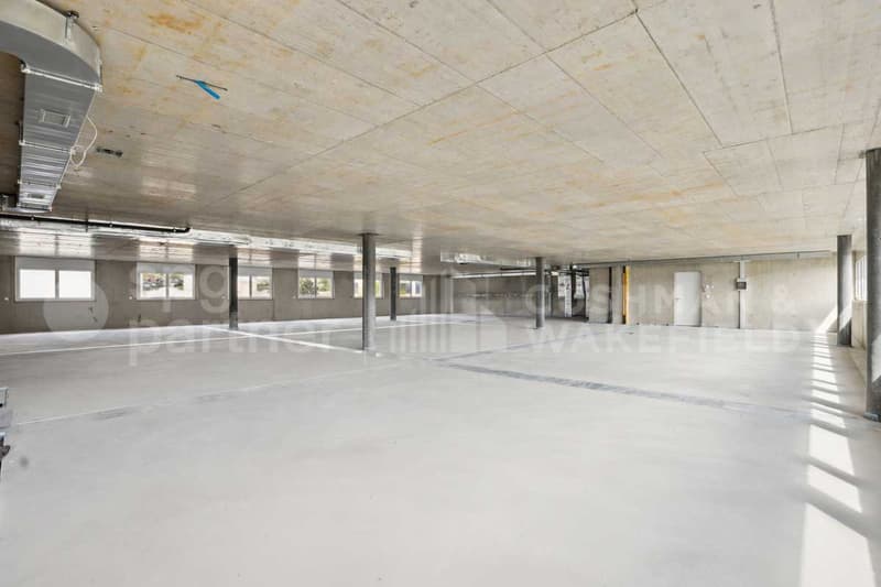 Aubonne Business Park, surfaces avec terrasse, flexibles et fonctionnelles (6)