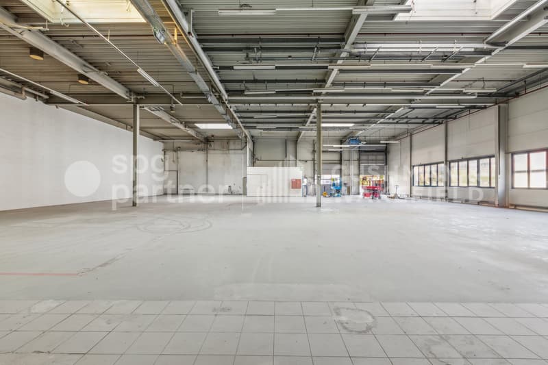 Locaux industriels avec sous-sol et équipements techniques complets - Collège 43 (9)