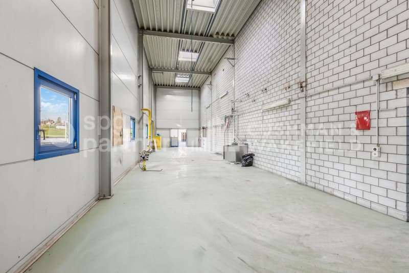Locaux industriels avec sous-sol et équipements techniques complets - Collège 43 (8)