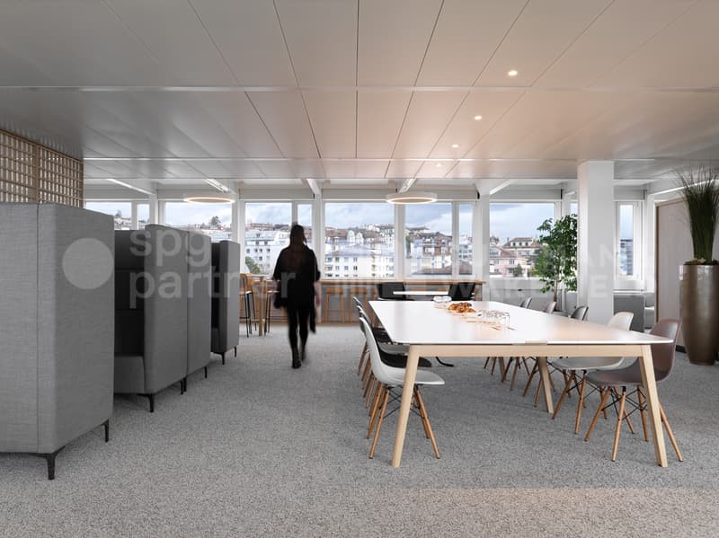 Espaces Plug & Play pour accompagner votre croissance - Ouchy 4-6 (8)