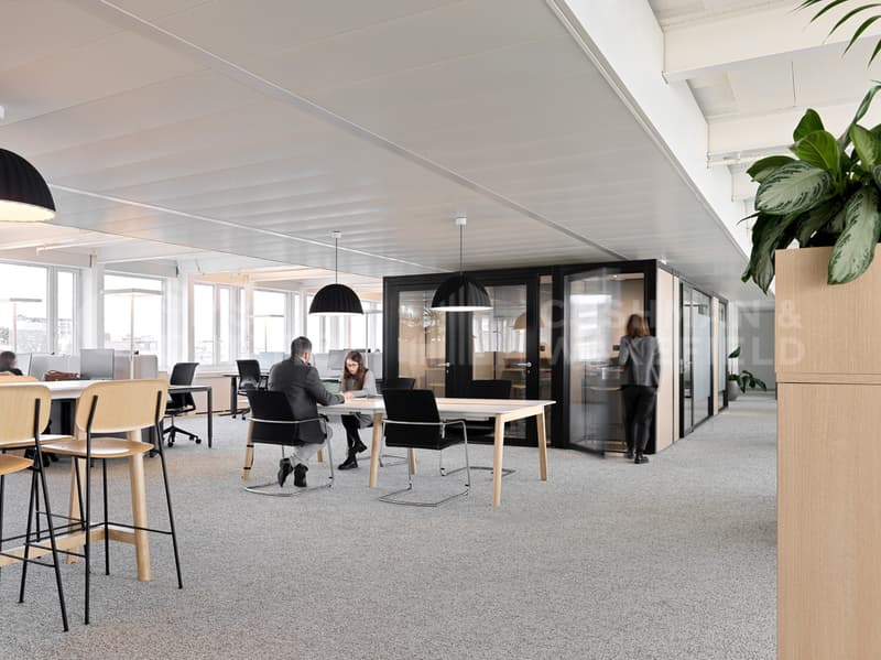Espaces Plug & Play pour accompagner votre croissance - Ouchy 4-6 (10)